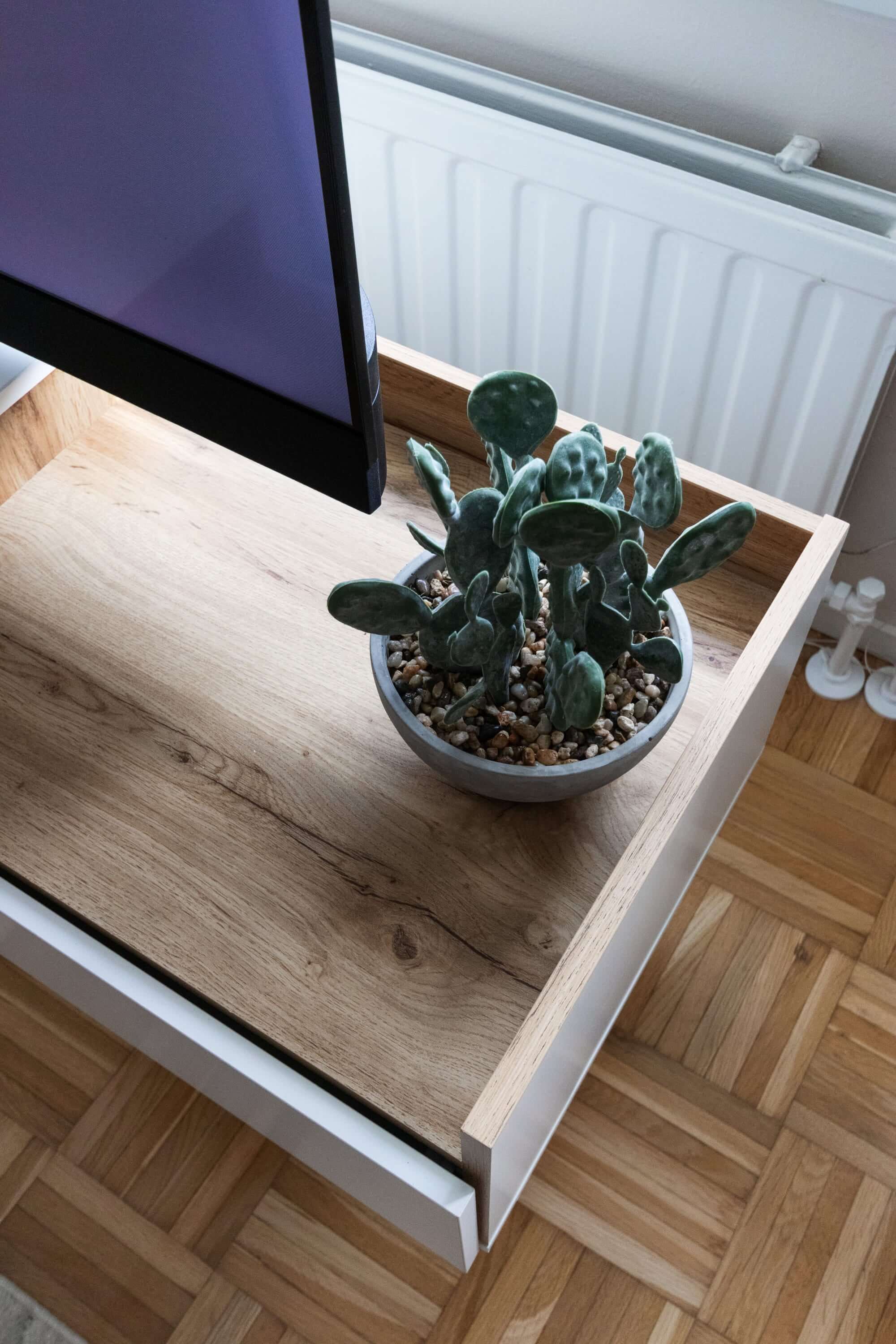 Asuntokuvaus sisustuskuva, puupinta ja kaktusruukku television vieressä.