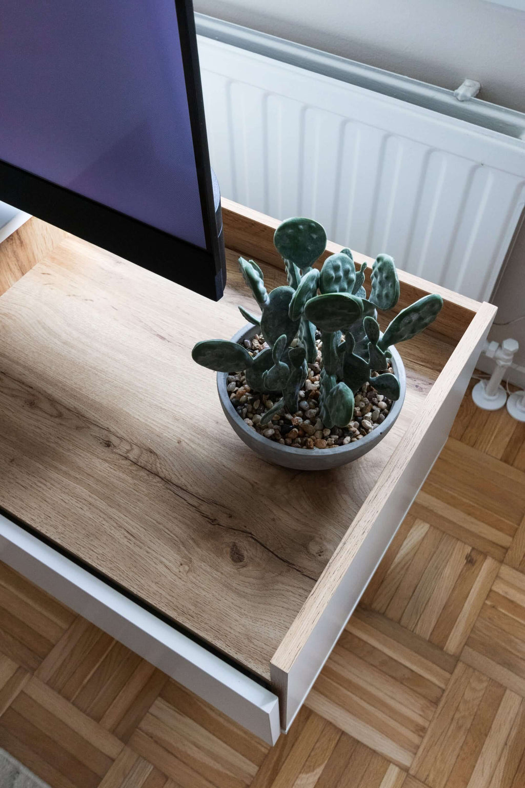 Asuntokuvaus sisustuskuva, puupinta ja kaktusruukku television vieressä.